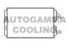 AUTOGAMMA 102482 Heat Exchanger, interior heating